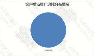 重庆 互联网 语言培训 托福培训 行业优秀案例分析报告 第302期